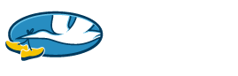 Choose Life 5k