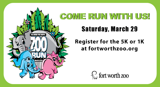 Ft Worth Zoo Run