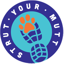 Strut your Mutt